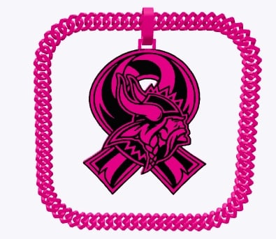 BCA Vikings