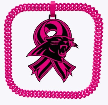 BCA Panthers