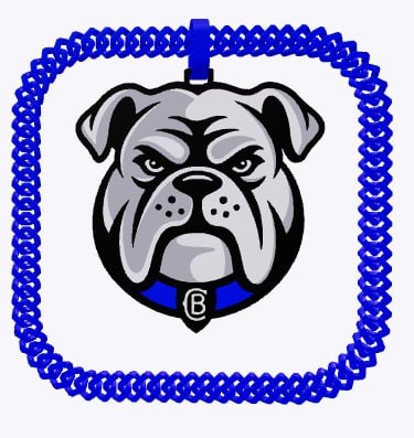 Bulldogs NRL Hype Chain