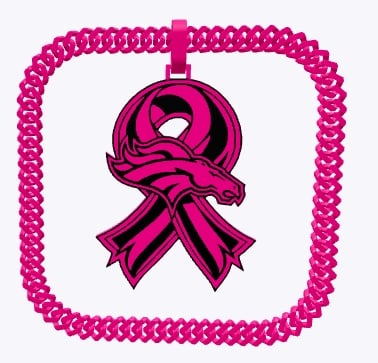 BCA Broncos